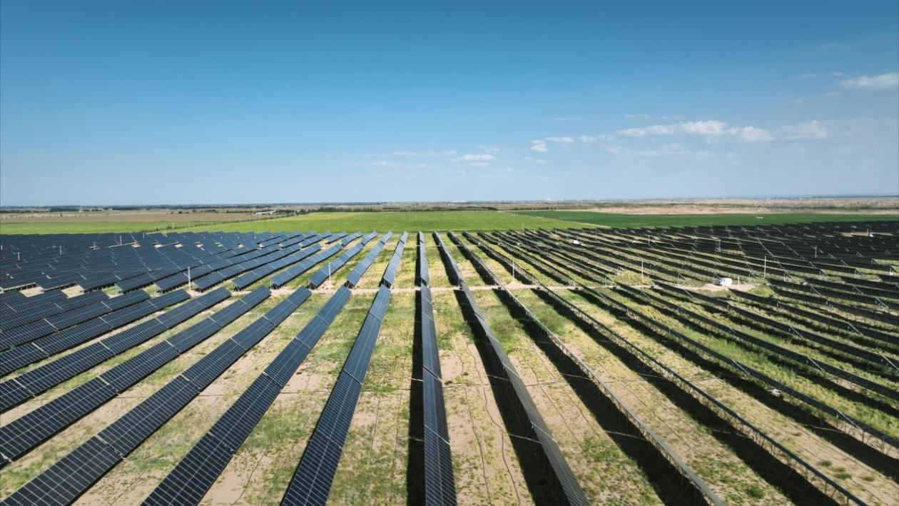 立博 - Ladbrokes(中国区)官方网站